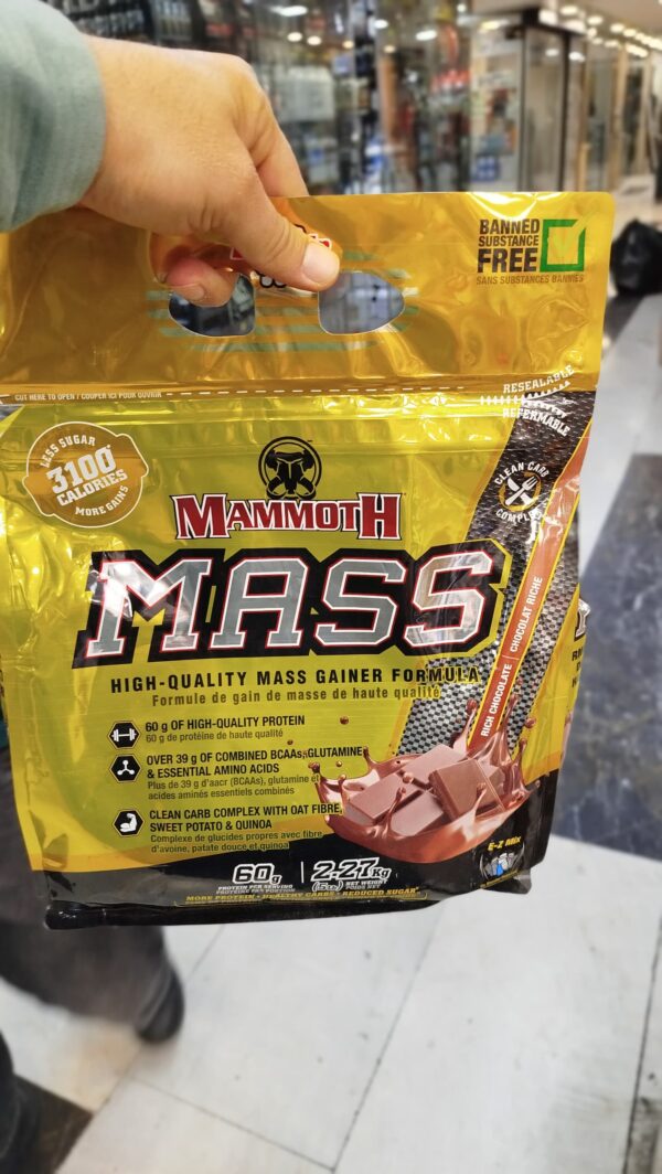 مس گینر ماموت ۲.۲۷۰ Mammoth Mass gainer - تصویر 2